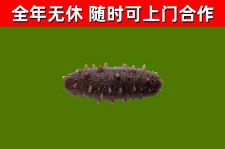 大兴安岭烟酒回收干海参.jpg